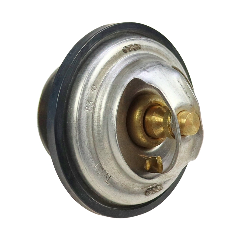 Termostat Steyr 32671