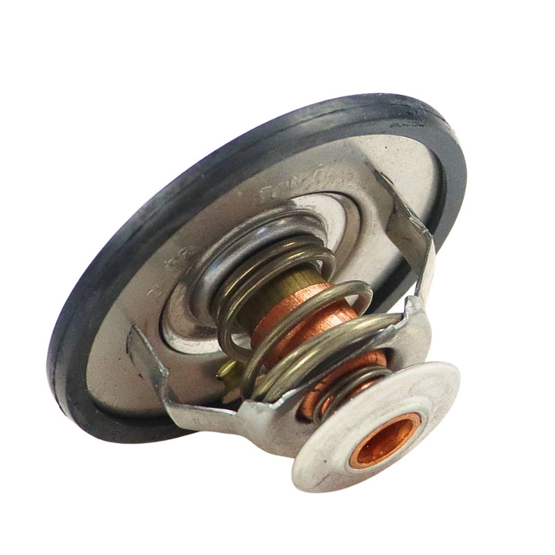 Termostat Case 718853R91 32676