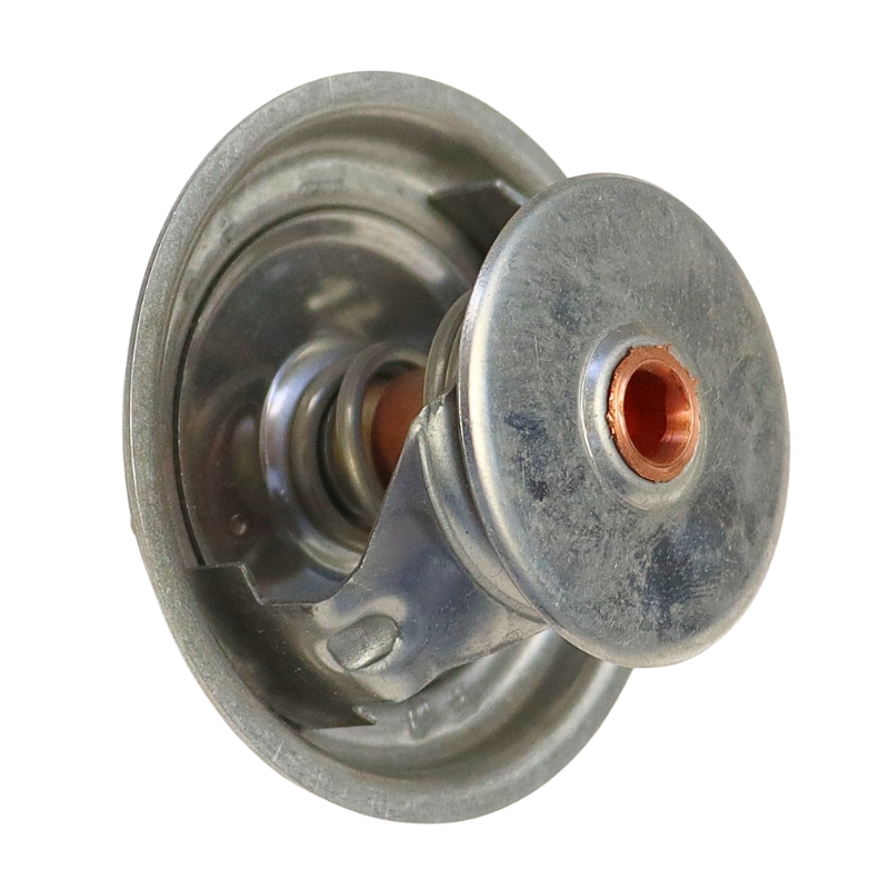 Termostat STEYR 131100040036 32679