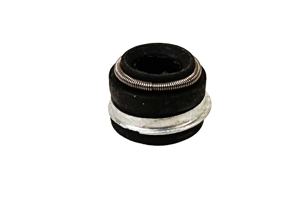 Komplet uszczelniaczy zaworów MTZ 1920-RK AX 2401007020-RK-AX
