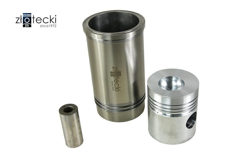 Komplet naprawczy silnika 110/4P C-385 Złotecki 83003959/4542190-ZŁ