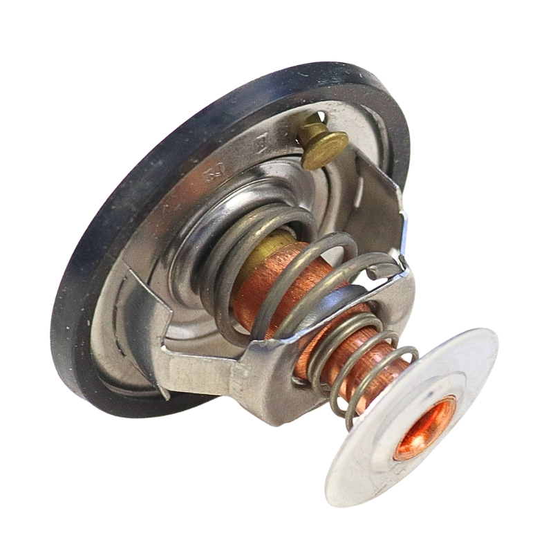 Termostat Case TV-87.83 24869
