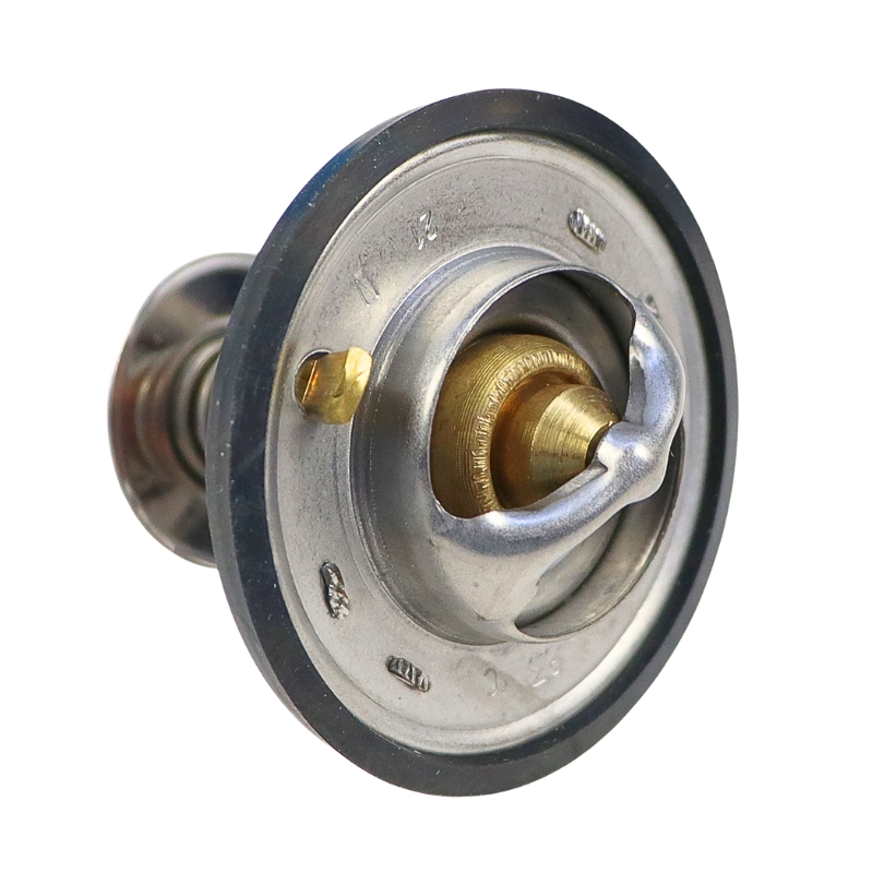 Termostat Case TV-87.83 24869