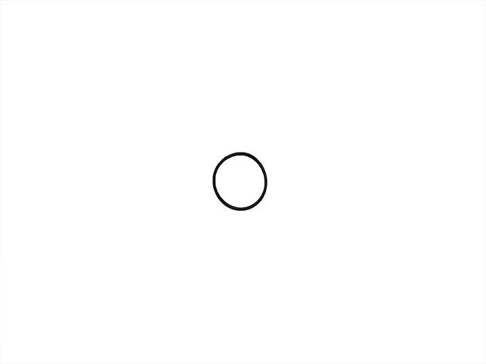 ORING   36X2   W161H   O36X2