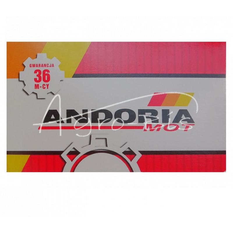 Rozpylacz do silnika MF4 2646842U Andoria 45727