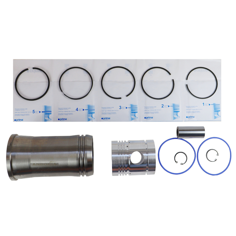 Zestaw naprawczy silnika 55110018 950116 do Ursus C-360 46688