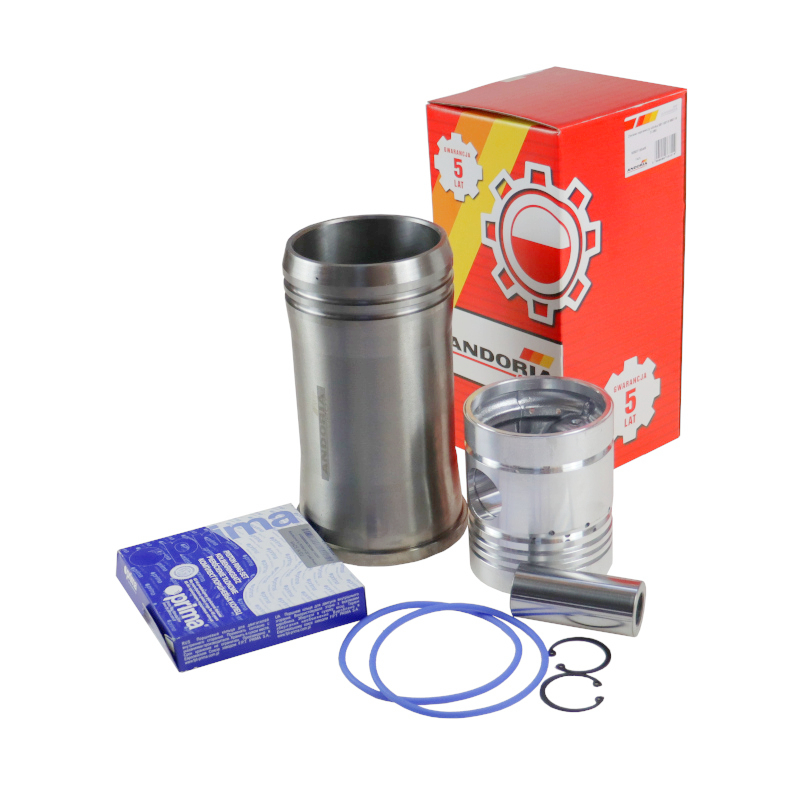 Zestaw naprawczy silnika 55110018 950116 do Ursus C-360 46688