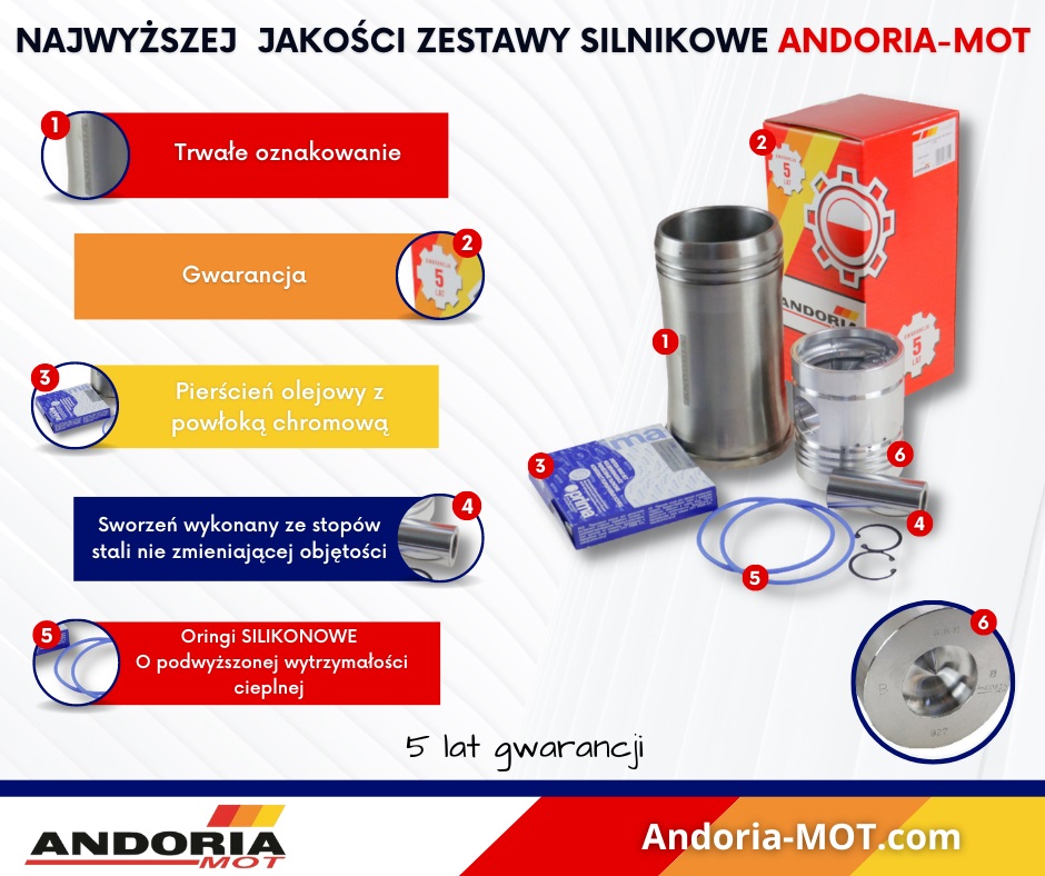 Zestaw naprawczy silnika 55110018 950116 do Ursus C-360 46688