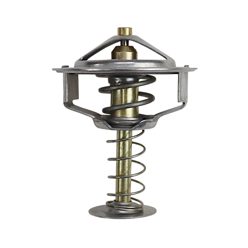 Termostat Ursus C-360 import