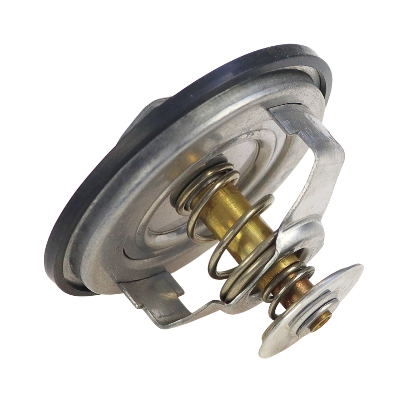 Termostat Case STEYR G199204010020 Mera 22427
