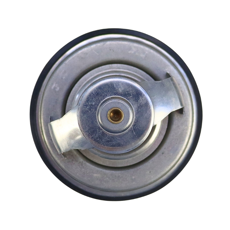 Termostat Case STEYR G199204010020 Mera 22427