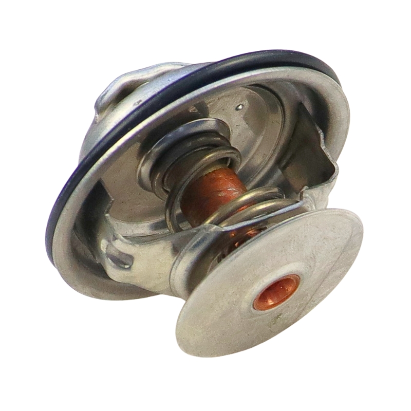 Termostat Fendt TV-165.87 24893