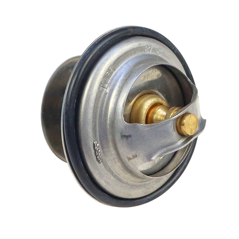 Termostat Fendt TV-165.87 24893