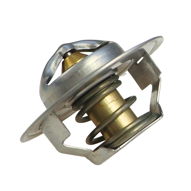 Termostat FORD 83913835 25809