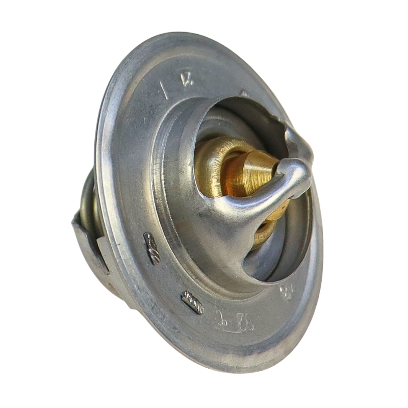 Termostat FORD 83913835 25809