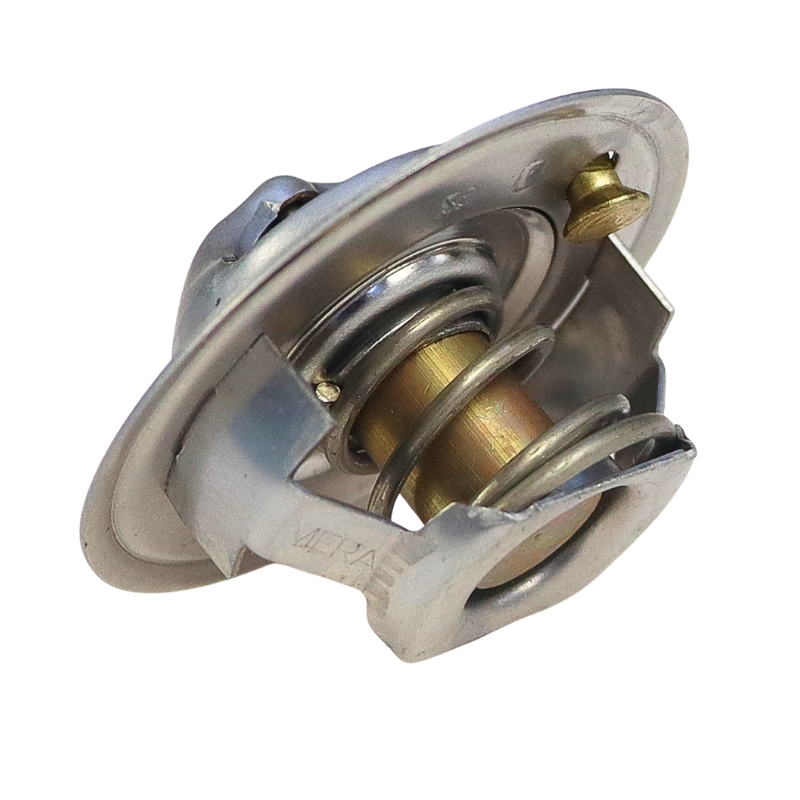 Termostat Case 162000060701 25814