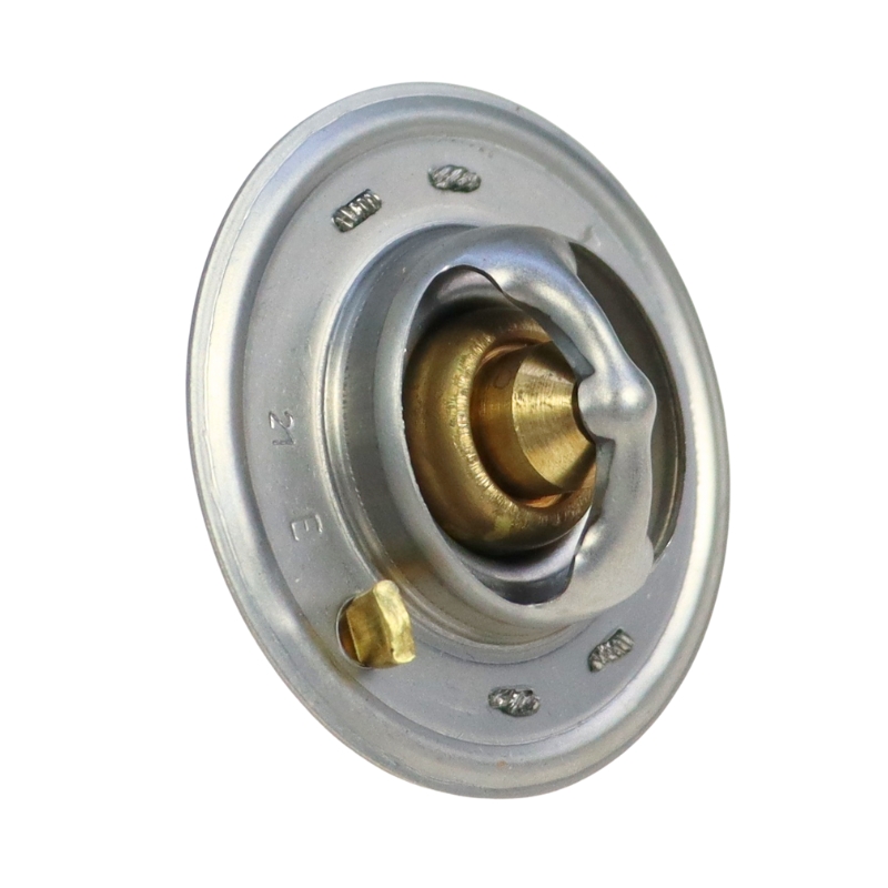 Termostat Case 162000060701 25814