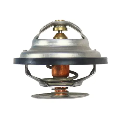 Termostat Steyr 32671