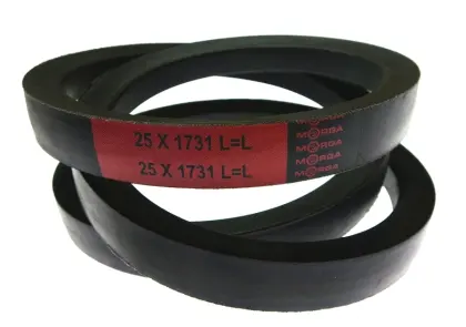 Pasek 25-1731 MORGA wysypu ziarna super wzmocniony 37836