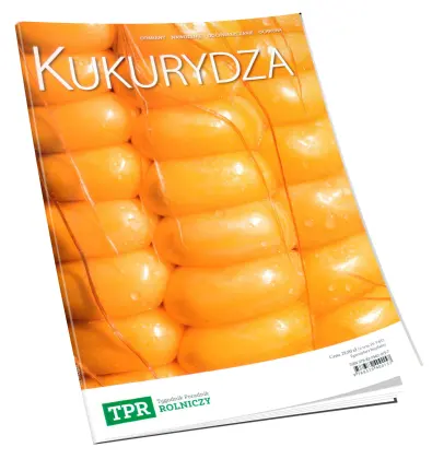 Kukurydza odmiany, nawożenie, odchwaszczanie, ochrona 41039