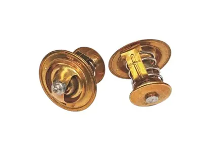 TERMOSTAT TS107 70C 30113