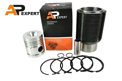 Komplet naprawczy silnika T25 stary typ 5P C AP Expert Indie D211000108-AP