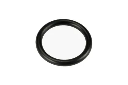 Oring 19.3x2.4 19.3X2.4