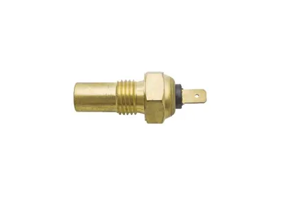 Czujnik temperatury wody Bizon 38004736001 5040995240