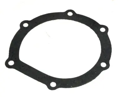 Uszczelka pompy wody Bizon 12466
