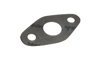 Uszczelka olejowa Bizon 15696