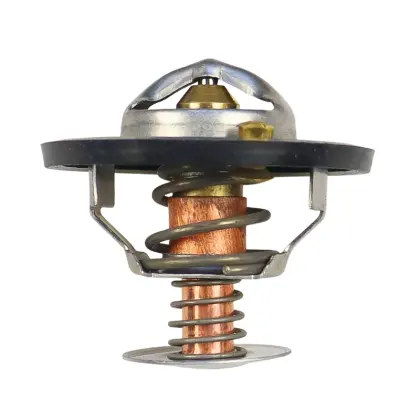 Termostat Case TV-87.83 24869