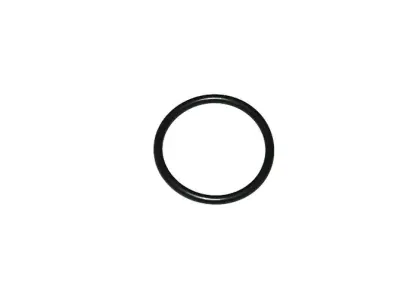 ORING  55X4 W11528