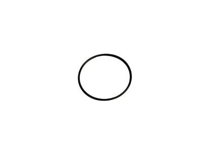 ORING  69,2X5,7 W261H