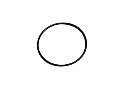 ORING 170X4    O170X4