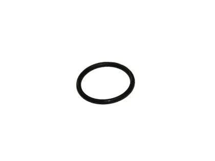 Oring 20x2 do rozdzielacza hydraulicznego MTZ 1025 0210241922