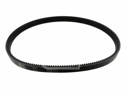 PAS WARIATOROWY AGRO-BELT(S) 609823