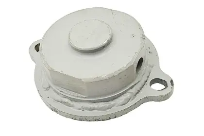 POKRYWA MOSTU LTZ T-40