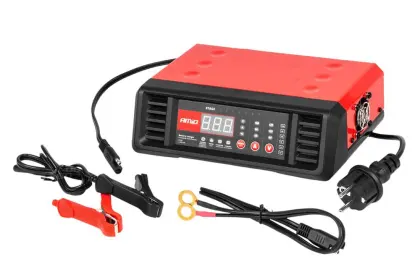 PROSTOWNIK CYFROWY 6/12V MAX 10