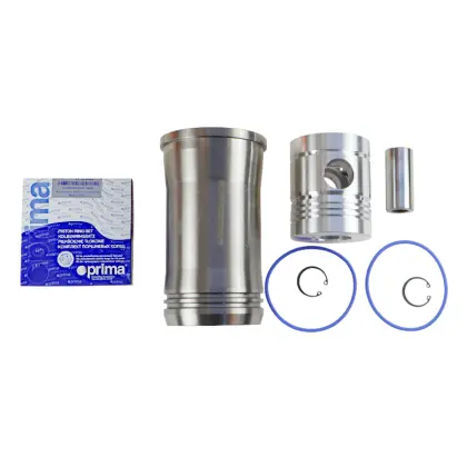 Zestaw naprawczy silnika 55110018 950116 do Ursus C-360 46688
