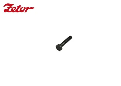 ŚRUBA M10X45 ZETOR