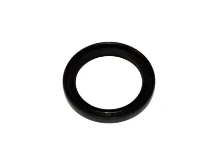 USZCZELNIACZ 45X60X7 AO