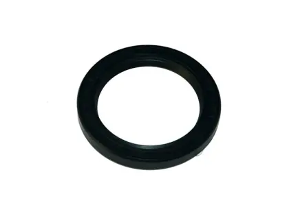 USZCZELNIACZ 60X85X10  AO