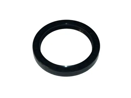 USZCZELNIACZ 80X100X13  AO / 62112810