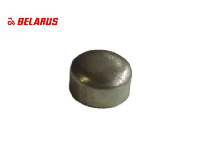 ZAŚLEPKA BLOKU 16mm MTZ ORYGINAŁ   16174