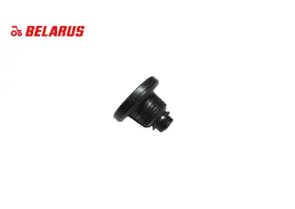 Zaworek pompy MTZ 16mm 16311 4UTNI111122020-BY