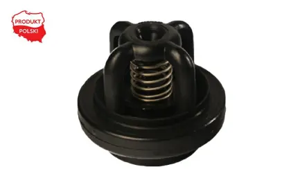 ZAWÓR POMPY P-100   AP20ZP