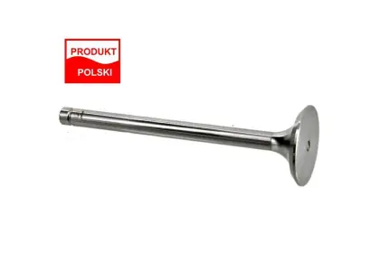 ZAWÓR SSĄCY  C385 PARADOWSKI