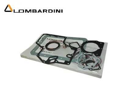 Zestaw uszczelniaczy do MTZ 320 Pronar Lombardini 8205115