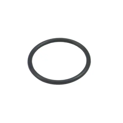 Pierścień uszczelniający O-ring 24,3x2,4 NBR 2007