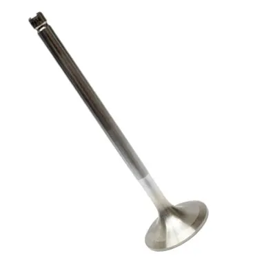 Zawór wydechowy silnika do Bizon Turbo 23078